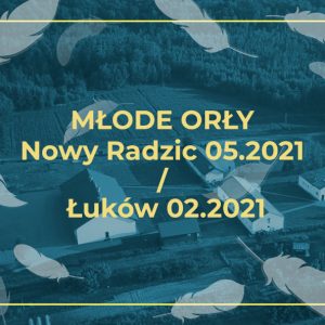 mlode_orly_radzic_lukow